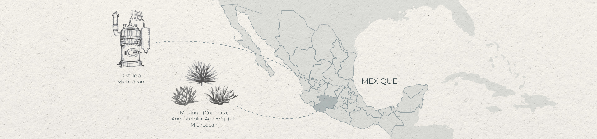 FR Blend (Cupreata, Angustofolia, Agave Sp) from Michoacan Distilled in Michoacan